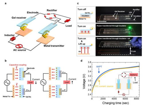腦科學(xué)日?qǐng)?bào) 超加工食品加速衰老，全球最大神經(jīng)元類腦計(jì)算機(jī)問(wèn)世，通訊設(shè)備設(shè)計(jì)革新